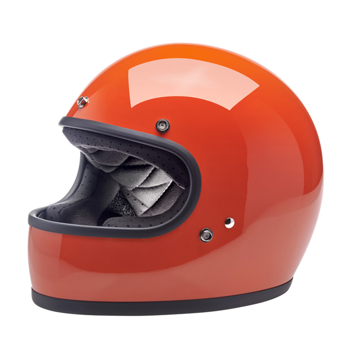 Daisy on the Ohoopee